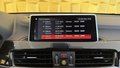 Daumennagel 28 - BMW X2 sDrive 18 i Advantage Plus  ACC SHZ AHK NAVI