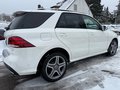 Daumennagel 40 - Mercedes-Benz GLE350d 4Matic*PANO*AMG-LINE*AHK*LED*COMAND