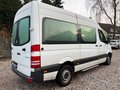 Daumennagel 33 - Mercedes-Benz SPRINTER KASTEN VOLLVERGLAST*AUTOMATK*129PS*