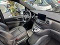 Daumennagel 29 - Mercedes-Benz V250d 4MATIC*AMG-LINE*DISTRO*360°KAMERA*2.HAND