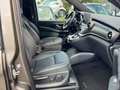 Daumennagel 32 - Mercedes-Benz V250d 4MATIC*AMG-LINE*DISTRO*360°KAMERA*2.HAND