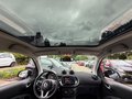 Daumennagel 21 - Smart ForTwo