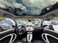Daumennagel 19 - Smart ForTwo*PASSSION*KLIMA*PANORAMA*