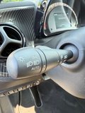 Daumennagel 36 - Smart ForTwo*electric drive / EQ*AMBIENTE*PANORAMA*