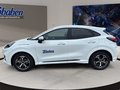 Daumennagel 8 - Ford Puma ST-Line + Winter Paket + Ganzjahresreifen
