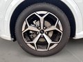 Daumennagel 9 - Ford Puma ST-Line + Winter Paket + Ganzjahresreifen