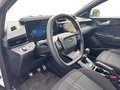 Daumennagel 10 - Ford Puma ST-Line + Winter Paket + Ganzjahresreifen