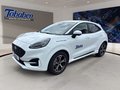 Daumennagel 17 - Ford Puma ST-Line + Winter Paket + Ganzjahresreifen