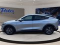 Daumennagel 8 - Ford MUSTANG MACH-E Rückfahrkamera + Tempomat + Winte