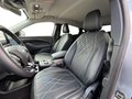 Daumennagel 13 - Ford MUSTANG MACH-E Rückfahrkamera + Tempomat + Winte