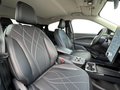 Daumennagel 14 - Ford MUSTANG MACH-E Rückfahrkamera + Tempomat + Winte