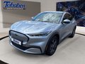 Daumennagel 17 - Ford MUSTANG MACH-E Rückfahrkamera + Tempomat + Winte