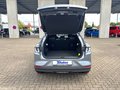 Daumennagel 21 - Ford MUSTANG MACH-E Rückfahrkamera + Tempomat + Winte