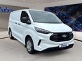 Daumennagel 3 - Ford Transit Custom 2.0 EcoBlue 320 L1 Trend FWD 320