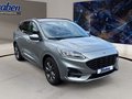 Daumennagel 3 - Ford Kuga ST-Line X + Panorama + Headup