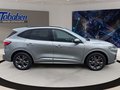 Daumennagel 4 - Ford Kuga ST-Line X + Panorama + Headup