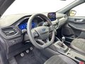 Daumennagel 10 - Ford Kuga ST-Line X + Panorama + Headup
