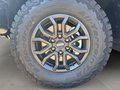 Daumennagel 9 - Ford Ranger Raptor + Raptor Paket