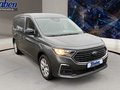 Daumennagel 3 - Ford Transit Connect Limited L2
