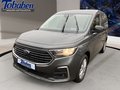 Daumennagel 10 - Ford Transit Connect Limited L2
