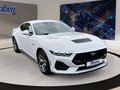 Daumennagel 3 - Ford Mustang 5.0 Ti-VCT V8 GT Fastback