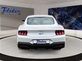 Daumennagel 6 - Ford Mustang 5.0 Ti-VCT V8 GT Fastback