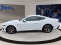 Daumennagel 8 - Ford Mustang 5.0 Ti-VCT V8 GT Fastback