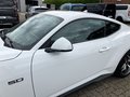 Daumennagel 20 - Ford Mustang 5.0 Ti-VCT V8 GT Fastback