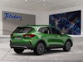 Daumennagel 2 - Ford Kuga Panorama + Head-Up-Display
