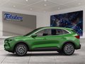Daumennagel 3 - Ford Kuga Panorama + Head-Up-Display