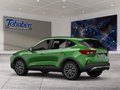 Daumennagel 4 - Ford Kuga Panorama + Head-Up-Display