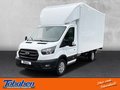 Daumennagel 1 - Ford Transit 350L4 Trend Koffer