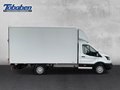 Daumennagel 3 - Ford Transit 350L4 Trend Koffer