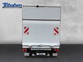 Daumennagel 4 - Ford Transit 350L4 Trend Koffer