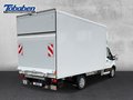 Daumennagel 5 - Ford Transit 350L4 Trend Koffer