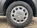 Daumennagel 7 - Ford Transit 350L4 Trend Koffer