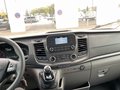 Daumennagel 8 - Ford Transit 350L4 Trend Koffer
