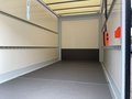 Daumennagel 13 - Ford Transit 350L4 Trend Koffer