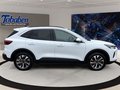 Daumennagel 4 - Ford Kuga Titanium + Ganzjahresreifen + Winter-Paket