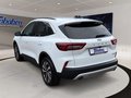 Daumennagel 7 - Ford Kuga Titanium + Ganzjahresreifen + Winter-Paket