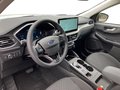 Daumennagel 10 - Ford Kuga Titanium + Ganzjahresreifen + Winter-Paket