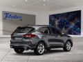 Daumennagel 2 - Ford Kuga Panorama + Ganzjahresreifen