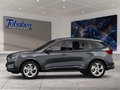 Daumennagel 3 - Ford Kuga Panorama + Ganzjahresreifen
