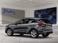 Daumennagel 4 - Ford Kuga Panorama + Ganzjahresreifen
