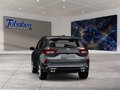 Daumennagel 5 - Ford Kuga Panorama + Ganzjahresreifen