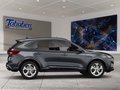 Daumennagel 6 - Ford Kuga Panorama + Ganzjahresreifen