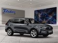 Daumennagel 7 - Ford Kuga Panorama + Ganzjahresreifen
