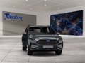 Daumennagel 8 - Ford Kuga Panorama + Ganzjahresreifen