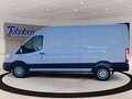 Daumennagel 5 - Ford Transit 350 L3 Trend FWD + Carplay + AHK