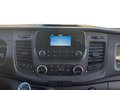 Daumennagel 14 - Ford Transit 350 L3 Trend FWD + Carplay + AHK